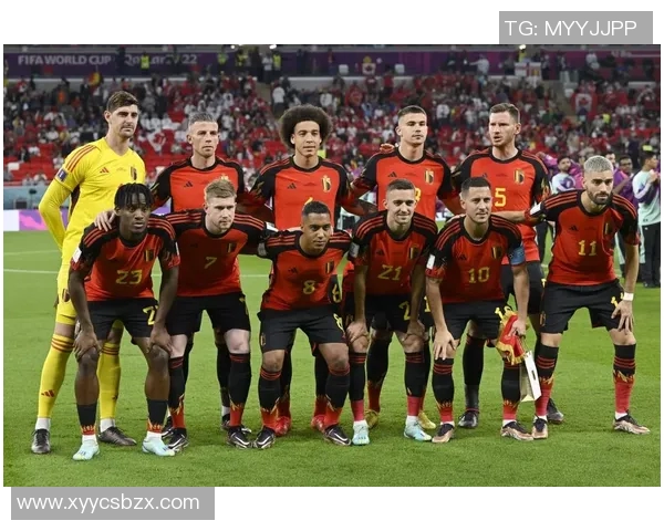 比利时足球队球星实力排名解析及其未来发展趋势分析